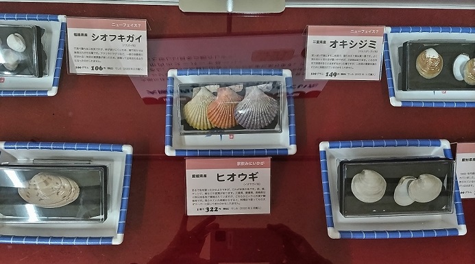 展示の写真